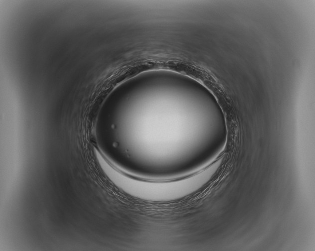 X0000116811253200912241214