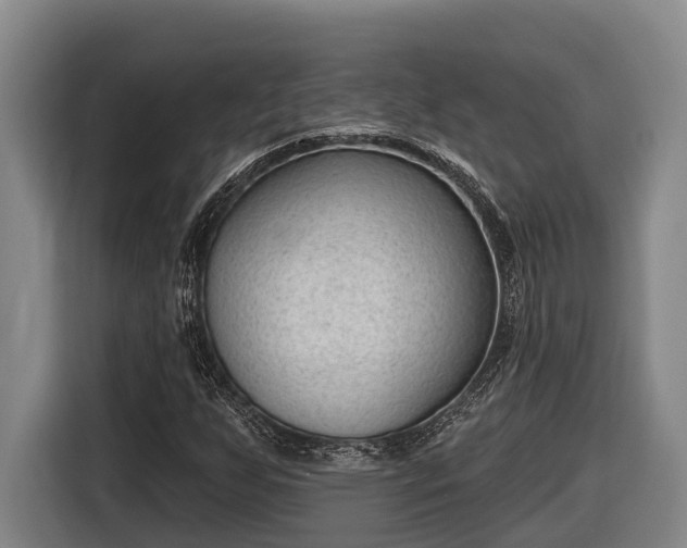 X0000116811255200912241214