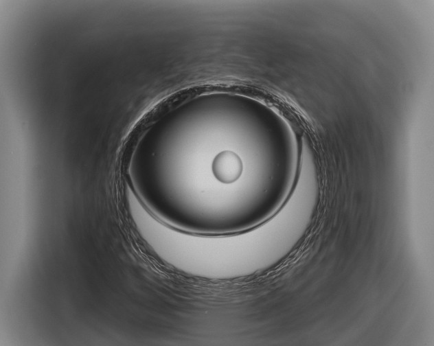 X0000116811256200912241214