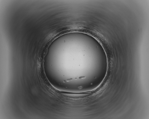 X0000116811257200912241214