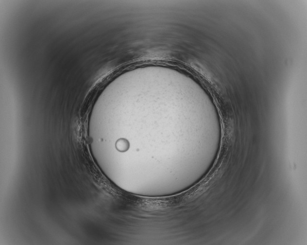 X0000116811258200912241214