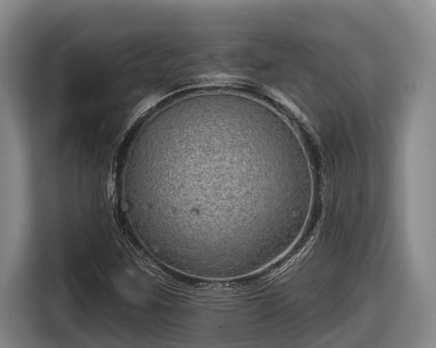 X0000116811259200912241214