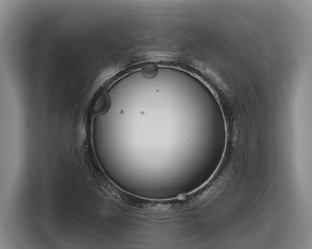 X0000116811261200912241214