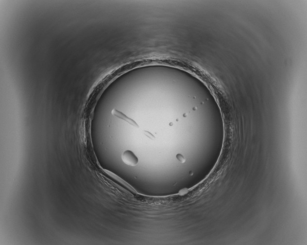 X0000116811262200912241214