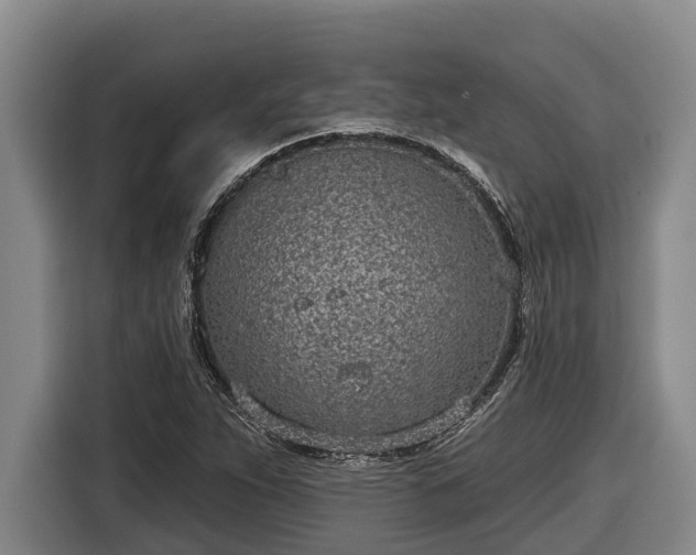 X0000116811263200912241214