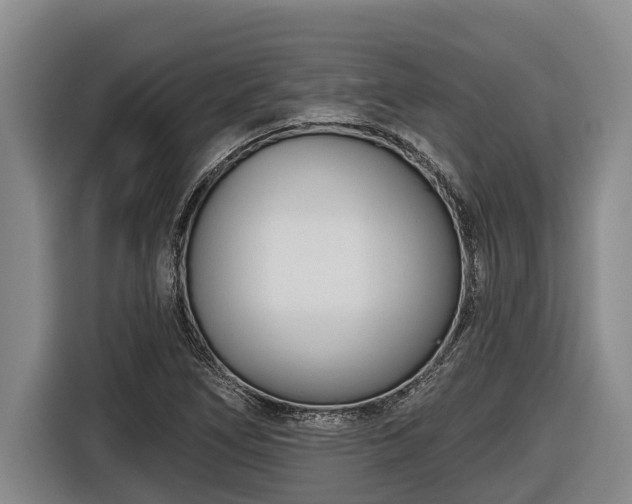 X0000116811266200912241214