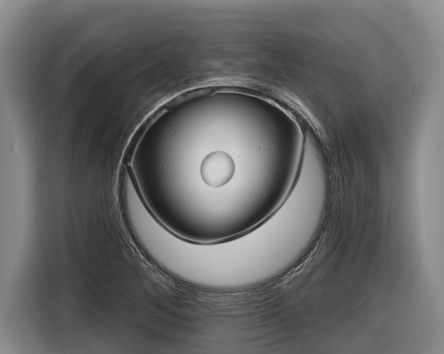 X0000116811268200912241214