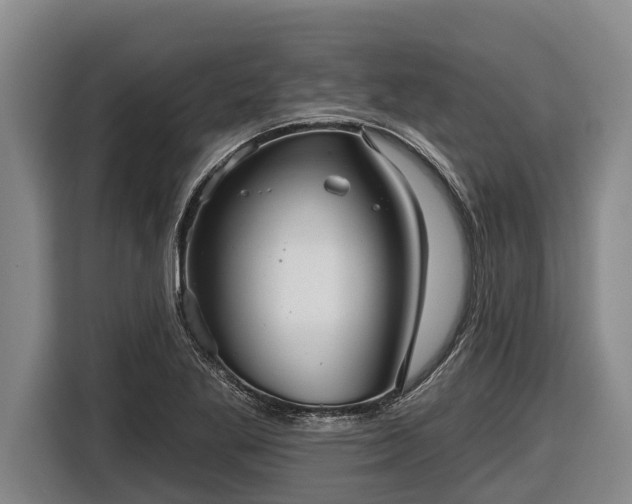 X0000116811269200912241214