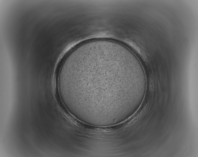 X0000116811270200912241214