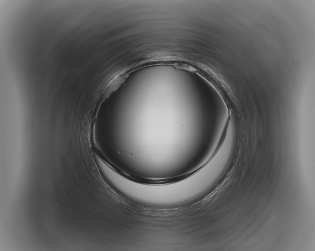 X0000116811273200912241214