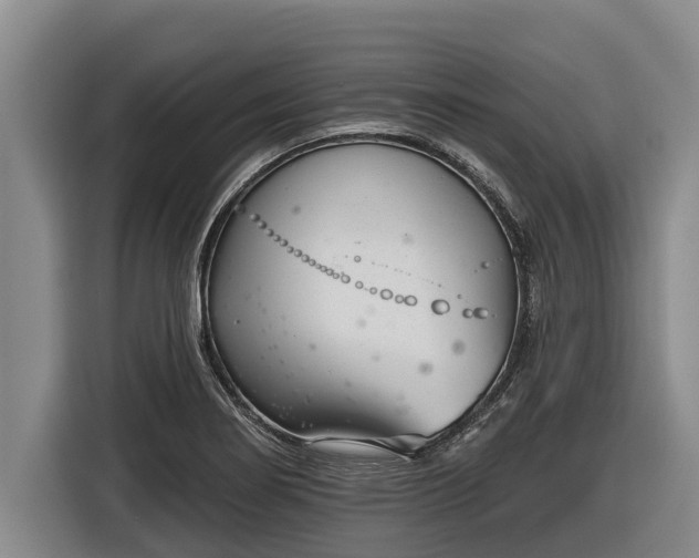 X0000116811274200912241214