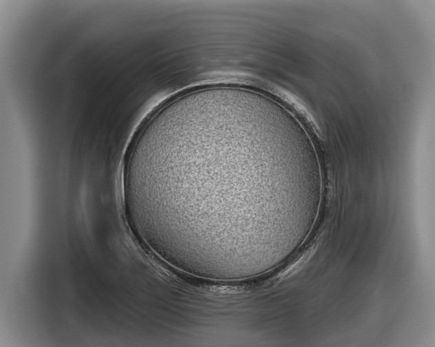 X0000116811275200912241214