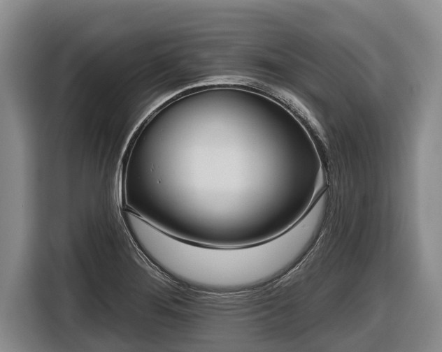 X0000116811276200912241214