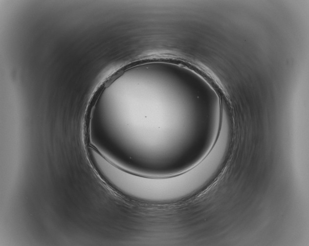 X0000116811277200912241214