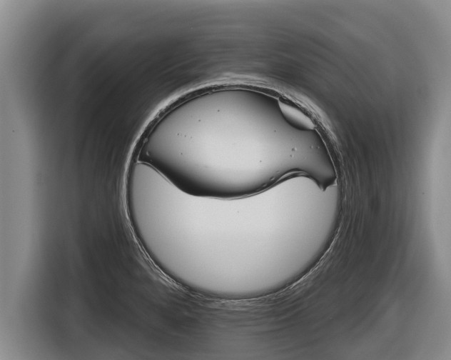 X0000116811280200912241214