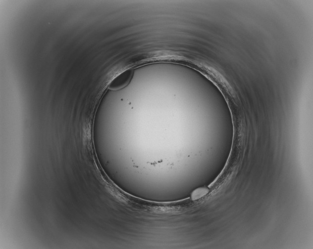 X0000116811281200912241214