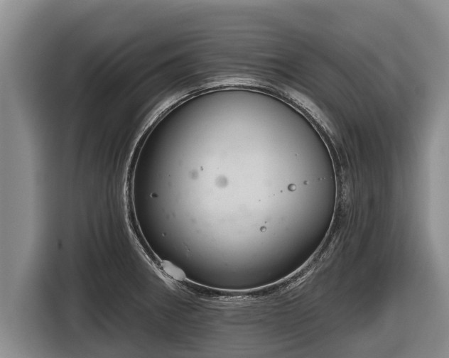 X0000116811282200912241214