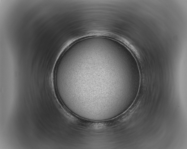 X0000116811283200912241214