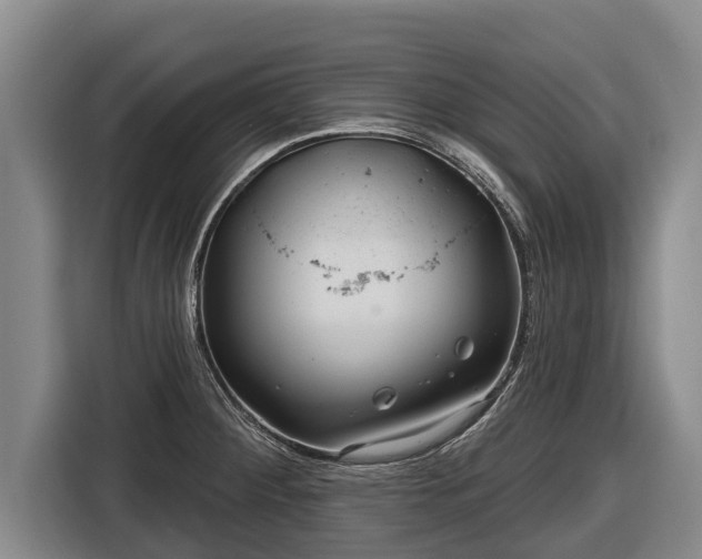 X0000116811284200912241214