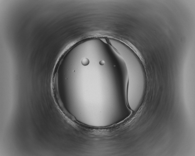 X0000116811285200912241214