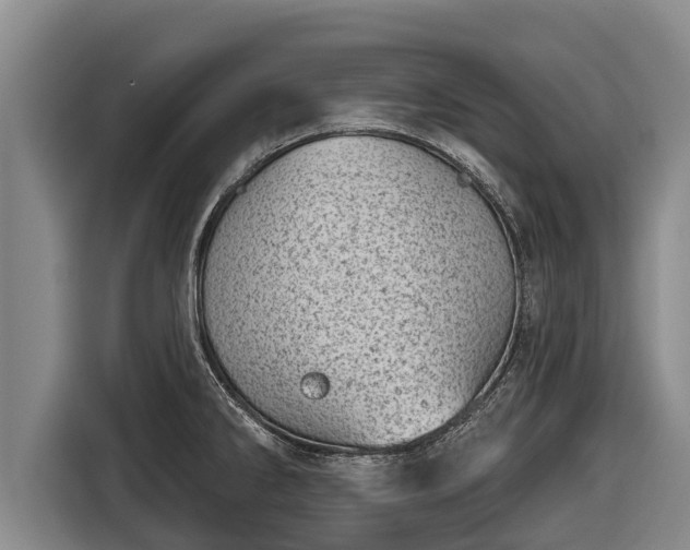 X0000116811286200912241214