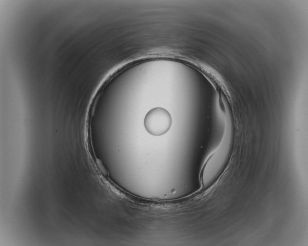 X0000116811288200912241213