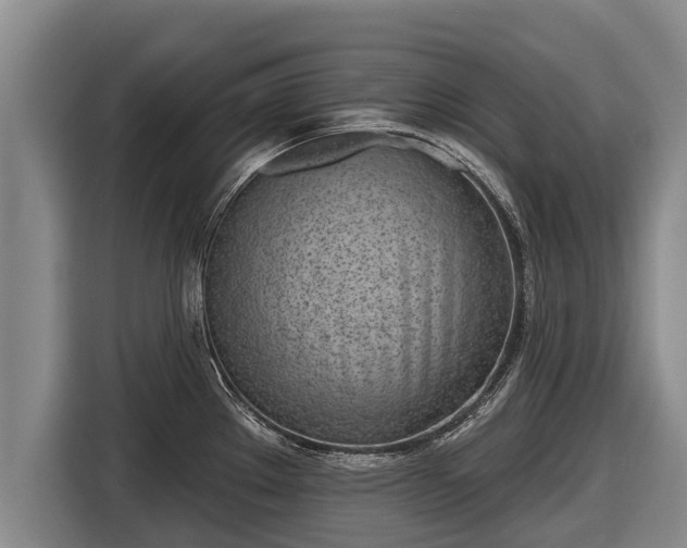 X0000116811289200912241213