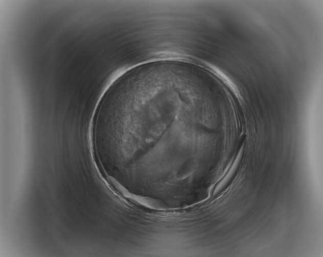 X0000116811291200912241213