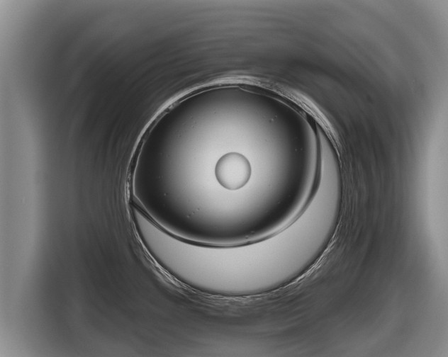 X0000116811292200912241213