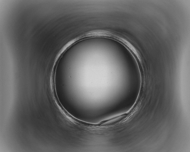 X0000116811293200912241213