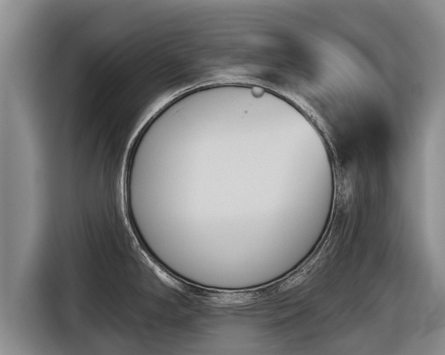 X0000116811294200912241213