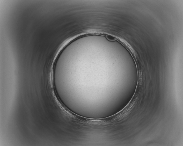 X0000116811295200912241213