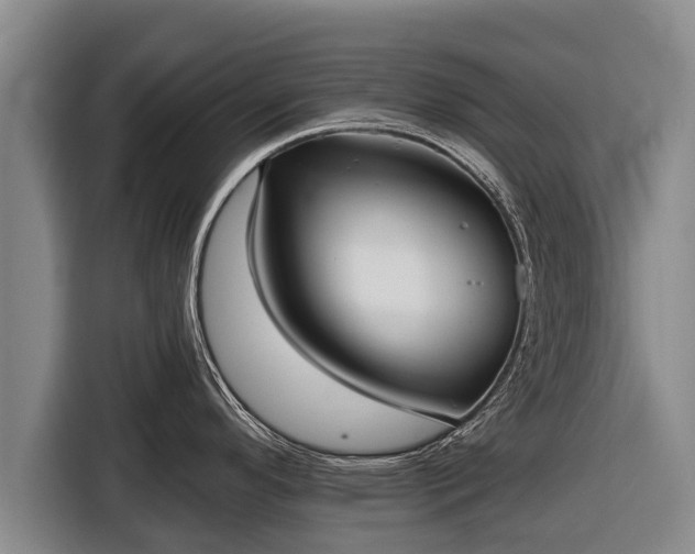 X0000116811296200912241213