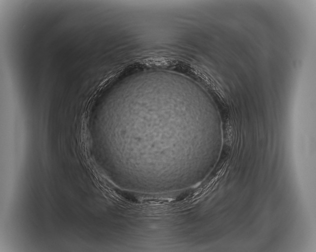 X0000116811297200912241213