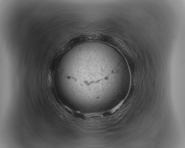 X0000116811298200912241213