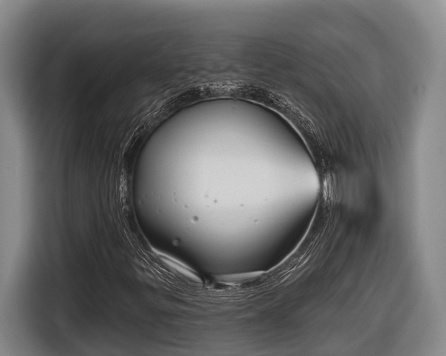 X0000116811299200912241213