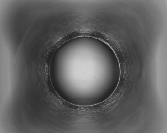 X0000116811301200912241213