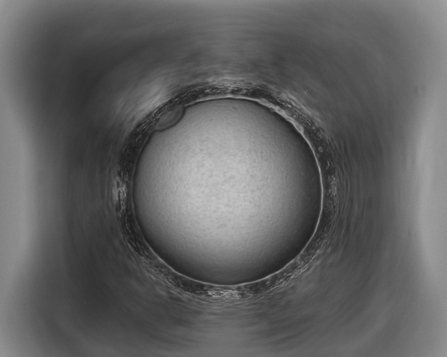 X0000116811302200912241213