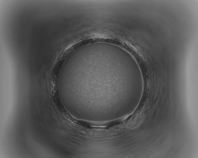 X0000116811303200912241213