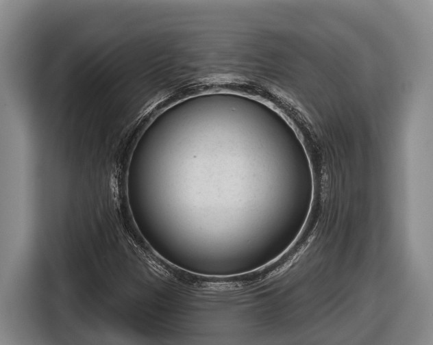 X0000116811305200912241213