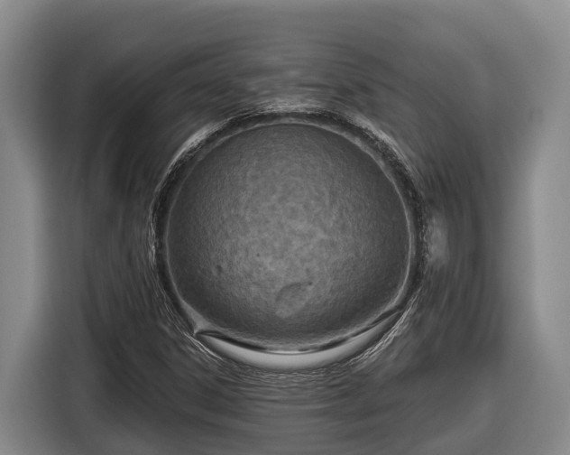 X0000116811306200912241213