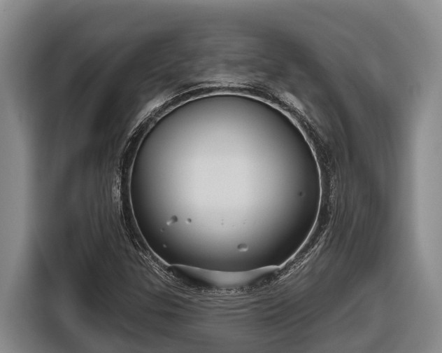 X0000116811307200912241213