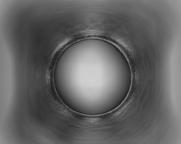 X0000116811309200912241213