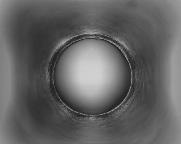 X0000116811311200912241213