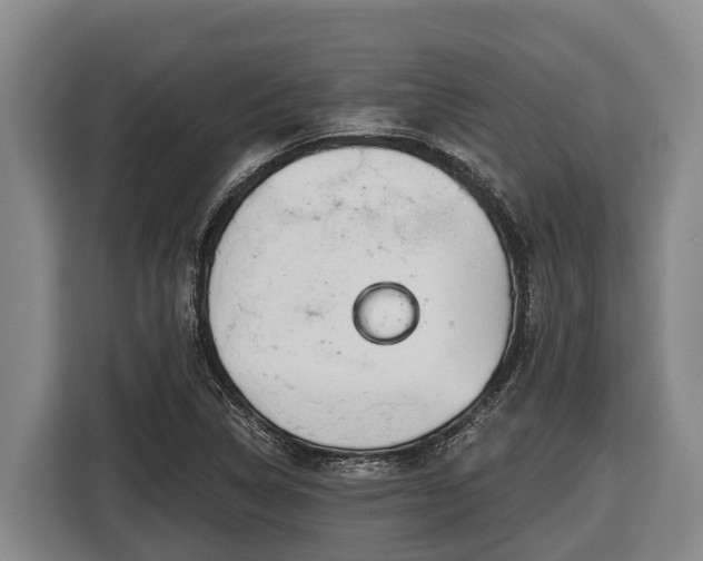 X0000116811314200912241213