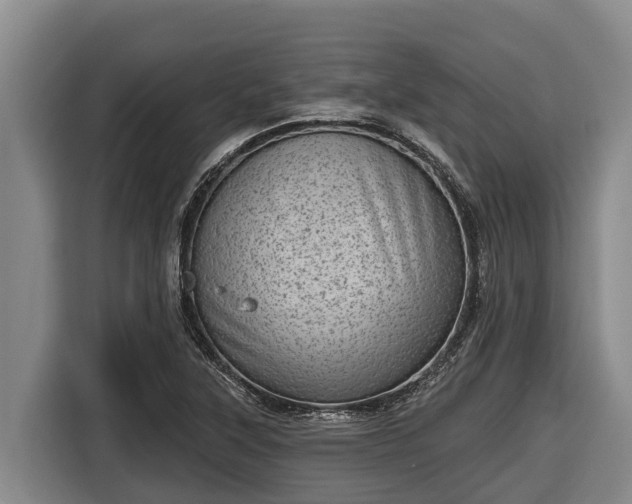 X0000116811315200912241213