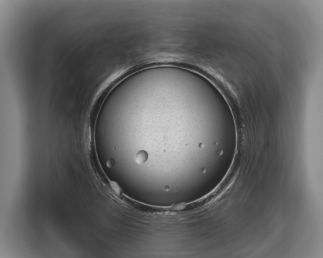 X0000116811317200912241213