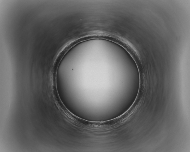 X0000116811318200912241213