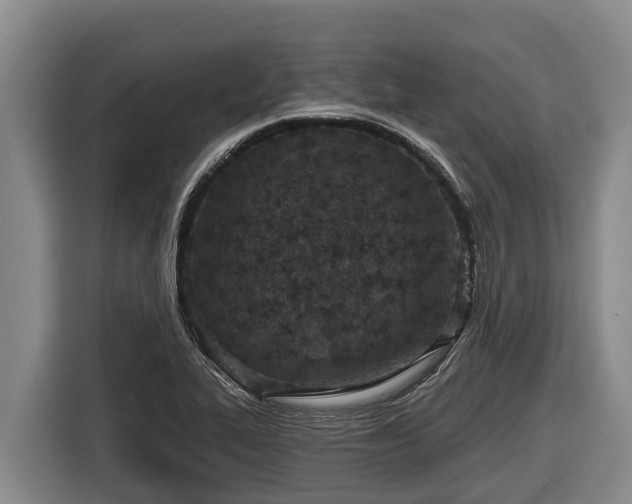 X0000116811319200912241213