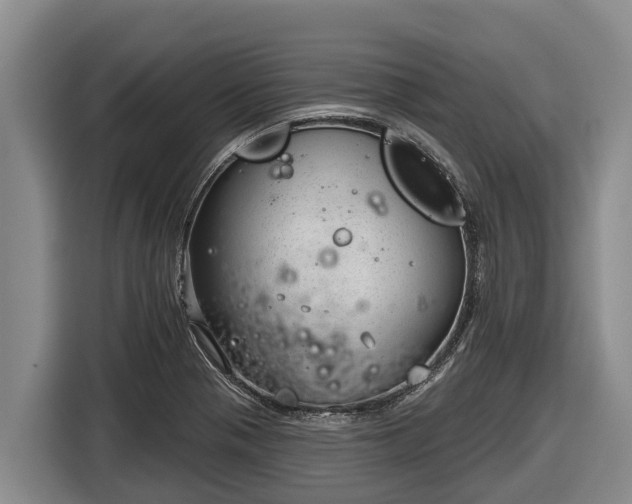 X0000116811321200912241213